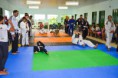 /album/a1%c2%ba-workshop-de-jiu-jitsu-em-vila-rica-mt/dsc-0066-jpg/